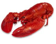 Lobsters